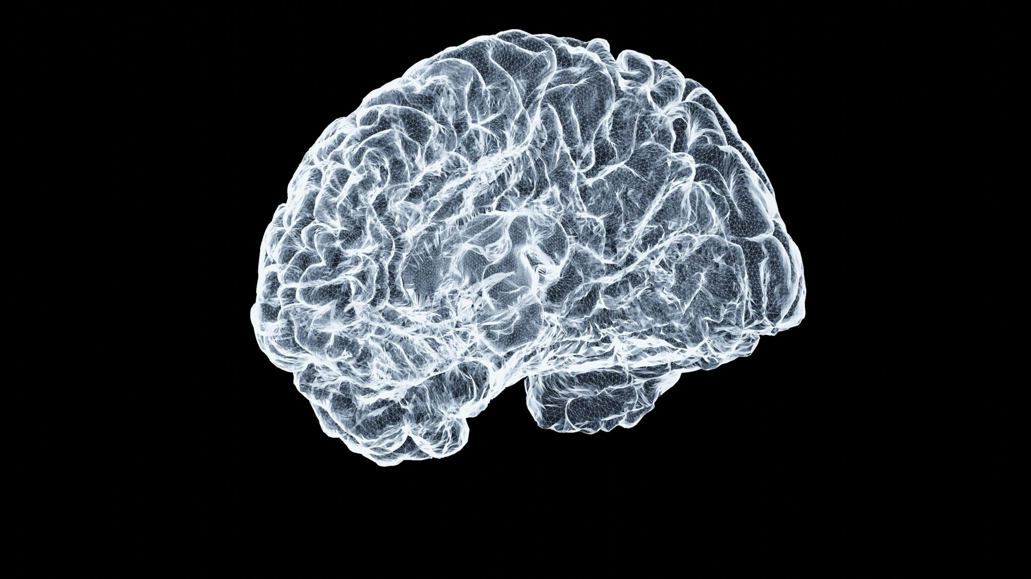 Turning cancer weakness into novel brain tumour treatments » Luxembourg ...